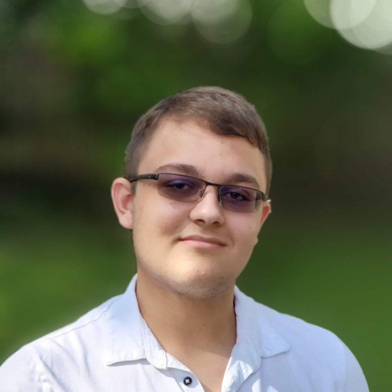 Dinel Brkic portrait